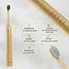 Sonic electric toothbrush